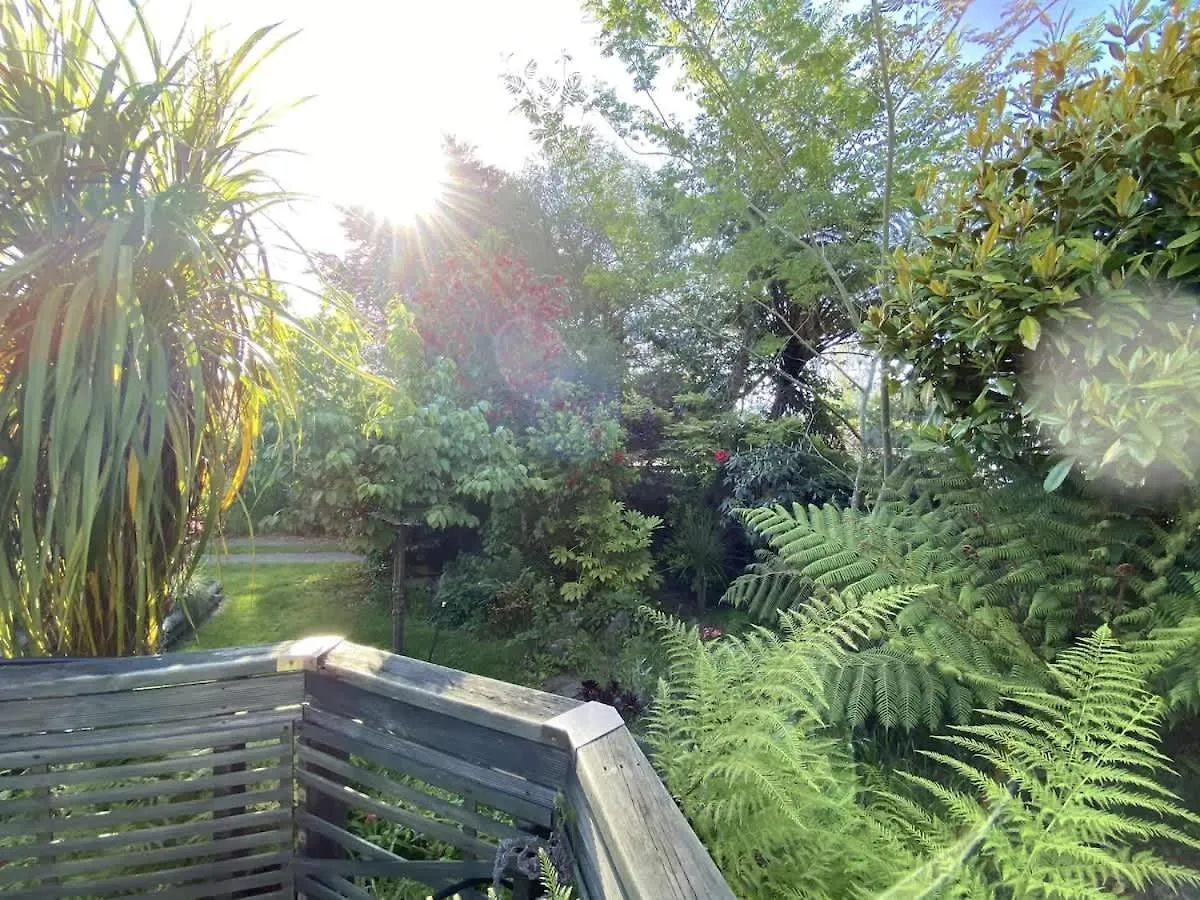 Ferienhaus Villa Mutts Mtbs & Mud Pools Rotorua
